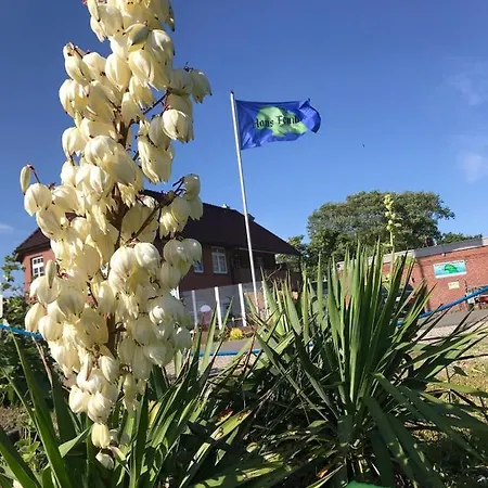 1-raum-apartment Fehmarn